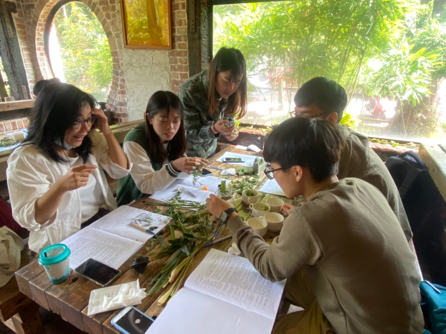 香草植物認識